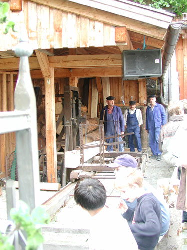 P6030038