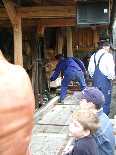 P6030040