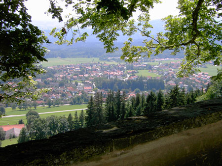 PICT0565