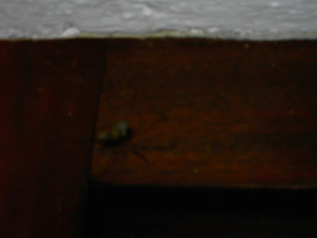 PICT0588